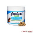 JTPHARMA Glandulex Sacs Croquetas para Perros Hot on Sale