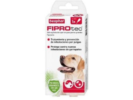 BEAPHAR Fiprotec Pipetas Anti Pulgas y Garrapatas para Perros L (20 a 40 Kg) For Cheap