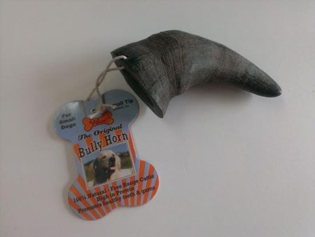 QT Water Buffalo Horn Small Supply