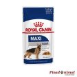 ROYAL CANIN ADULT MAXI WET Carne en Salsa Perros Adultos Grandes 10x140gr Hot on Sale