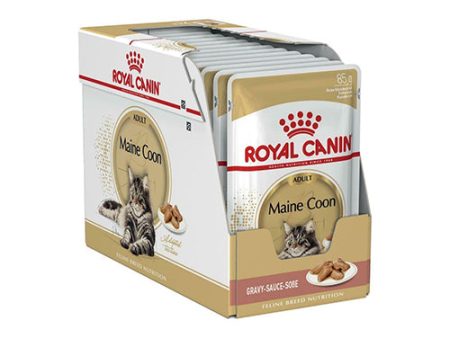 ROYAL CANIN MAINE COON Paté para Gatos Maine Coon 12x85gr Sale