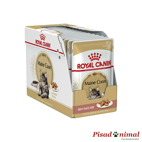 ROYAL CANIN MAINE COON Paté para Gatos Maine Coon 12x85gr Sale