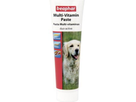 BEAPHAR Pasta Multi-vitamínica 100gr Suplemento Nutricional para Perro Online Sale