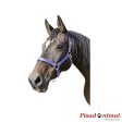 KERBL Cabezada Mustang de Nylon de Colores para Caballos For Cheap