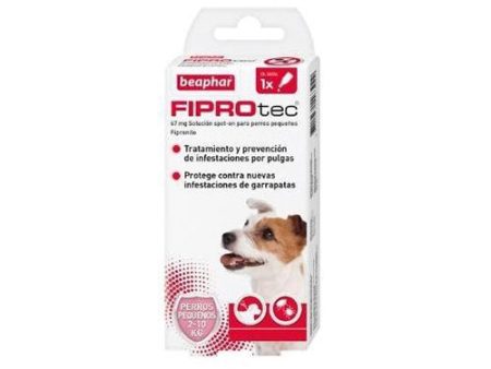 BEAPHAR Fiprotec Pipetas Anti Pulgas y Garrapatas para Perros S (5-10 Kg) Online now