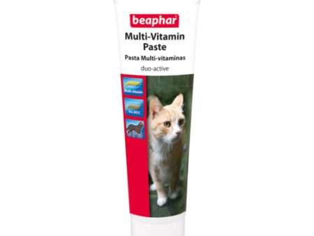 BEAPHAR Pasta Multi-vitamínica 100gr Suplemento Nutricional para Gato For Sale