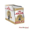 ROYAL CANIN BRITISH SHORTHAIR Paté para Gatos 12x85gr For Sale