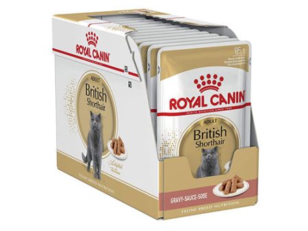 ROYAL CANIN BRITISH SHORTHAIR Paté para Gatos 12x85gr For Sale