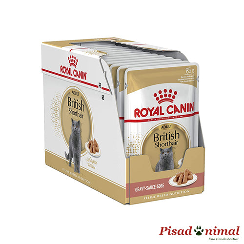 ROYAL CANIN BRITISH SHORTHAIR Paté para Gatos 12x85gr For Sale