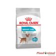 ROYAL CANIN MINI URINARY CARE Pienso para Perros 3Kg For Discount