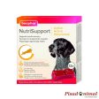 BEAPHAR Nutrisupport Perros Activo 12 Gominolas For Cheap