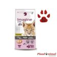 IMAGINE CAT KITTEN Pienso para Gatitos Sale