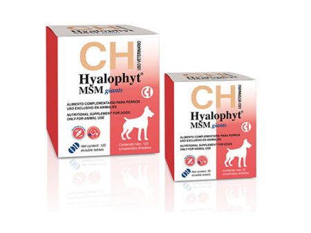 HYALOPHYT MSM GIANTS Condroprotector Perros Gigantes Hot on Sale