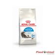 ROYAL CANIN FELINE INDOOR LONG HAIR Pienso para Gatos Pelo Largo 4Kg on Sale