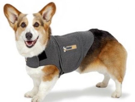 Thundershirt Small Grey Fashion