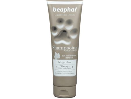 BEAPHAR Champú de Alta Cosmética para Perros de Pelo Blanco For Cheap