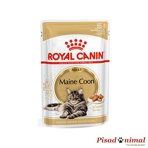 ROYAL CANIN MAINE COON Paté para Gatos Maine Coon 12x85gr Sale