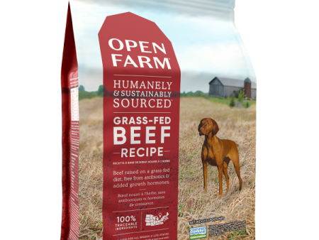 Open Farm Dog Dry Beef 4 lb Online