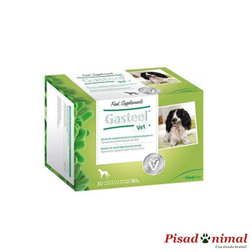 HEEL Gasteel Vet Suplemento Alimenticio para Perros For Sale