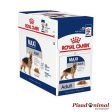 ROYAL CANIN ADULT MAXI WET Carne en Salsa Perros Adultos Grandes 10x140gr Hot on Sale