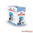 ROYAL CANIN ROYAL CANIN PUPPY MAXI WET Comida Húmeda Cachorros 10x140gr Cheap