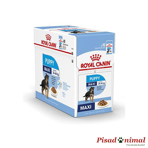 ROYAL CANIN ROYAL CANIN PUPPY MAXI WET Comida Húmeda Cachorros 10x140gr Cheap