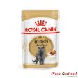 ROYAL CANIN BRITISH SHORTHAIR Paté para Gatos 12x85gr For Sale