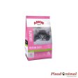 ARION Original Kitten Growth 35 21 Pienso Gatitos Supply